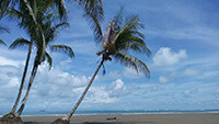 www.costarica-family-adventures.com/family-vacation/travel-with-kids/