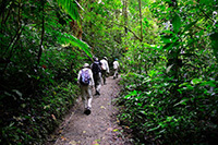 www.costarica-family-adventures.com/family-vacation/travel-with-kids/